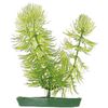 Decoratie Meerdere kleuren Plant Plant Groen