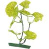 Decoratie Meerdere kleuren Plant Plant Groen