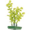 Decoratie Meerdere kleuren Plant Plant Groen