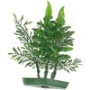 Decoratie Meerdere kleuren Plant Plant Groen