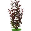 Decoratie Meerdere kleuren Plant Plant Bruin, Groen