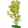 Decoratie Meerdere kleuren Plant Plant Groen