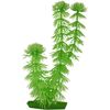 Decoratie Meerdere kleuren Plant Plant Groen