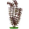 Decoratie Meerdere kleuren Plant Plant Bruin, Groen