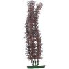 Decoratie Meerdere kleuren Plant Plant Bruin, Groen