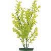 Decoratie Meerdere kleuren Plant Plant Groen