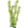 Decoratie Meerdere kleuren Plant Plant Groen
