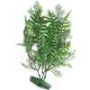 Decoratie Meerdere kleuren Plant Plant Groen
