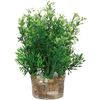Decoratie Meerdere kleuren Plant & Plant & Plant & Plant & Plant & Plant Plant Groen, Geel, Roze, Wit 