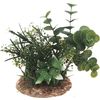 Decoratie Meerdere uitvoeringen Plant Plant Groen, Beige