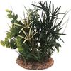 Decoratie Meerdere uitvoeringen Plant Plant Groen, Beige