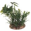 Decoratie Meerdere uitvoeringen Plant Plant Groen, Beige, Wit
