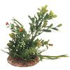 Decoratie Meerdere uitvoeringen Plant Plant Groen, Beige, Wit