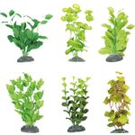 Decoration Brasil Multiple colours Plant