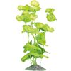Decoratie Brasil Meerdere kleuren Plant Plant Geel, Grijs, Groen