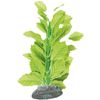 Decoratie Brasil Meerdere kleuren Plant Plant Groen, Grijs