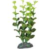Decoratie Brasil Meerdere kleuren Plant Plant Groen, Grijs