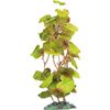 Decoratie Brasil Meerdere uitvoeringen Plant Plant Groen, Grijs, Rood
