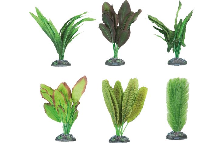 Flamingo Decoratie Congo Meerdere kleuren Plant