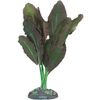 Decoratie Congo Meerdere kleuren Plant Plant Bruin, Grijs, Groen