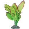 Decoratie Congo Meerdere kleuren Plant Plant Groen, Bruin, Grijs