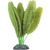 Decoratie Congo Meerdere kleuren Plant Plant Groen, Grijs