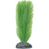 Decoratie Congo Meerdere kleuren Plant Plant Groen, Grijs