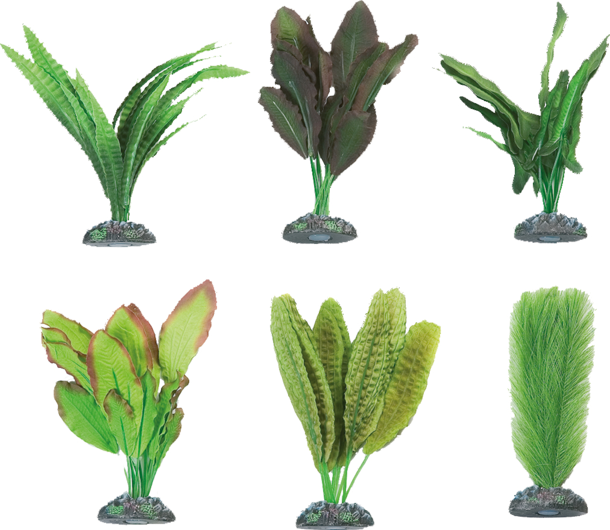 Flamingo Decoration Congo Several versions Plant