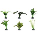 Decoration Congo Green Plant