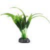 Decoratie Congo Groen Plant Plant Groen, Grijs