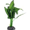 Decoratie Congo Groen Plant Plant Groen, Grijs