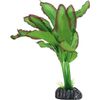 Decoratie Congo Groen Plant Plant Groen, Bruin, Grijs