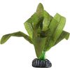 Decoratie Congo Groen Plant Plant Groen, Grijs