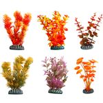 Decoration Cuba Orange Plant