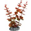 Decoratie Cuba Oranje Plant Plant Rood, Grijs, Groen