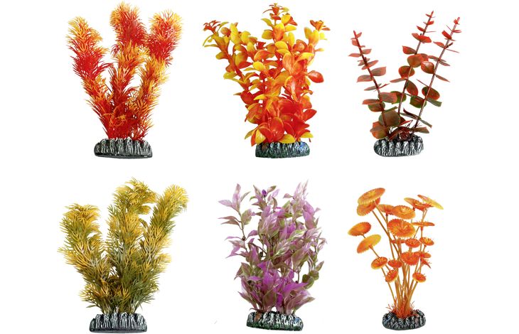 Flamingo Decoratie Cuba Oranje Plant