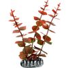 Decoratie Cuba Oranje Plant Plant Rood, Grijs, Groen