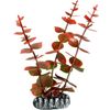 Decoratie Cuba Oranje Plant Plant Rood, Grijs, Groen