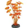 Decoratie Cuba Meerdere uitvoeringen Plant Oranje, Geel, Grijs