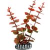 Dekoration Cuba Mehrere AusführungenPflanze & Pflanze & Pflanze & Pflanze & Pflanze & Pflanze Pflanze Rot, Grau, Grün 