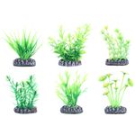 Decoration Fiji Several versions Plant