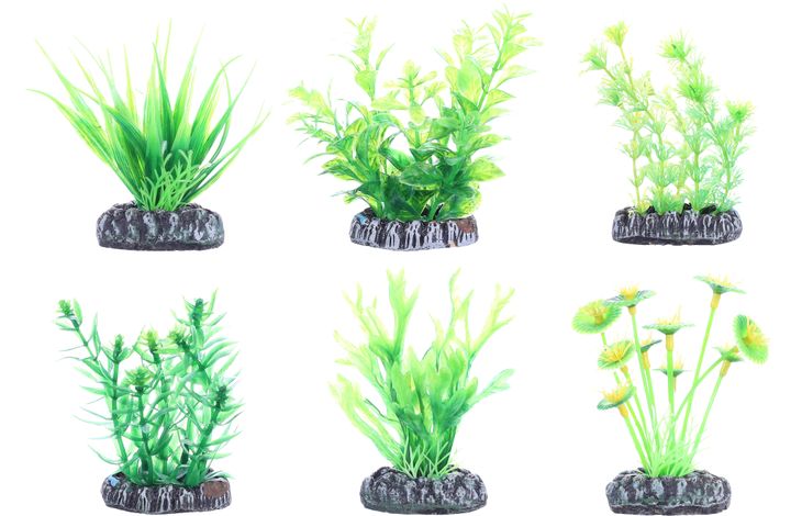 Flamingo Decoratie Fiji Meerdere uitvoeringen Plant
