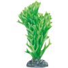 Dekoration Fiji Mehrere Ausführungen Pflanze Pflanze Grün, Grau, Weiß 