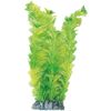 Decoratie Fiji Meerdere uitvoeringen Plant Plant Groen, Geel, Grijs 
