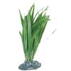 Dekoration FijiPflanze & Pflanze & Pflanze & Pflanze & Pflanze & Pflanze Pflanze Grün, Grau 