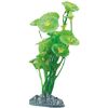Dekoration FijiPflanze & Pflanze & Pflanze & Pflanze & Pflanze & Pflanze Pflanze Grün, Gelb, Grau 