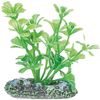 Decoratie Meerdere kleuren Plant Plant Groen, Grijs