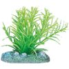 Decoratie Meerdere kleuren Plant Plant Groen, Grijs