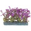 Decoratie Meerdere kleuren Plant Plant Paars, Grijs, Groen