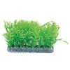 Decoratie Meerdere kleuren Plant Plant Groen, Grijs